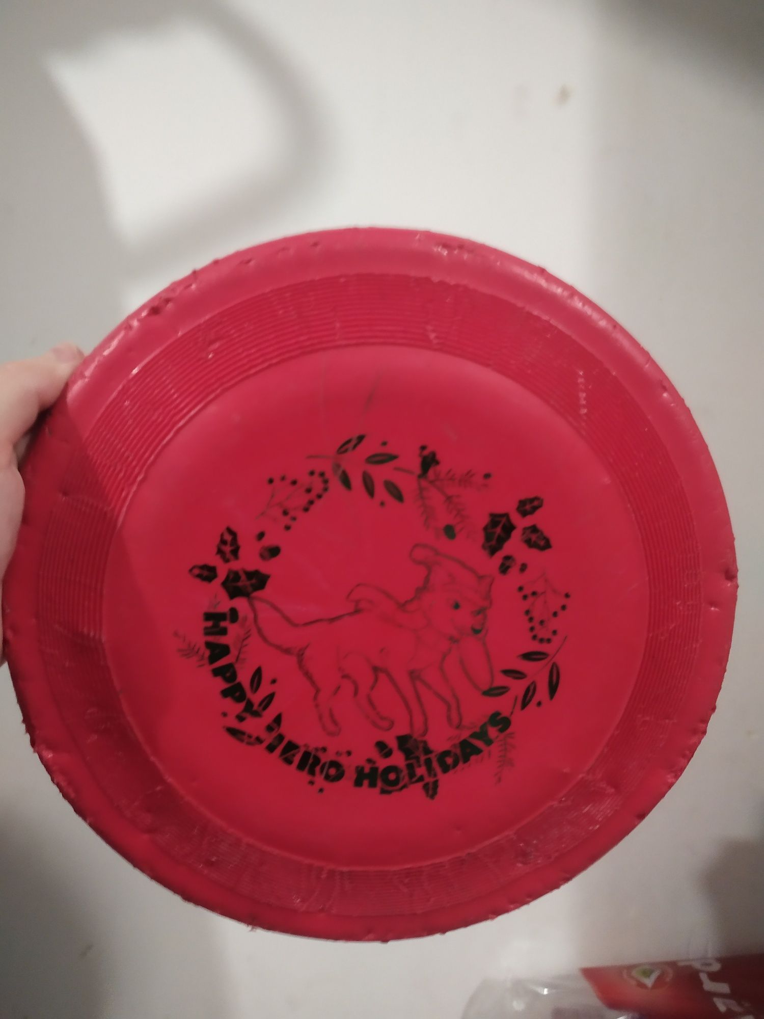 Frisbee dogfrisbee.pl