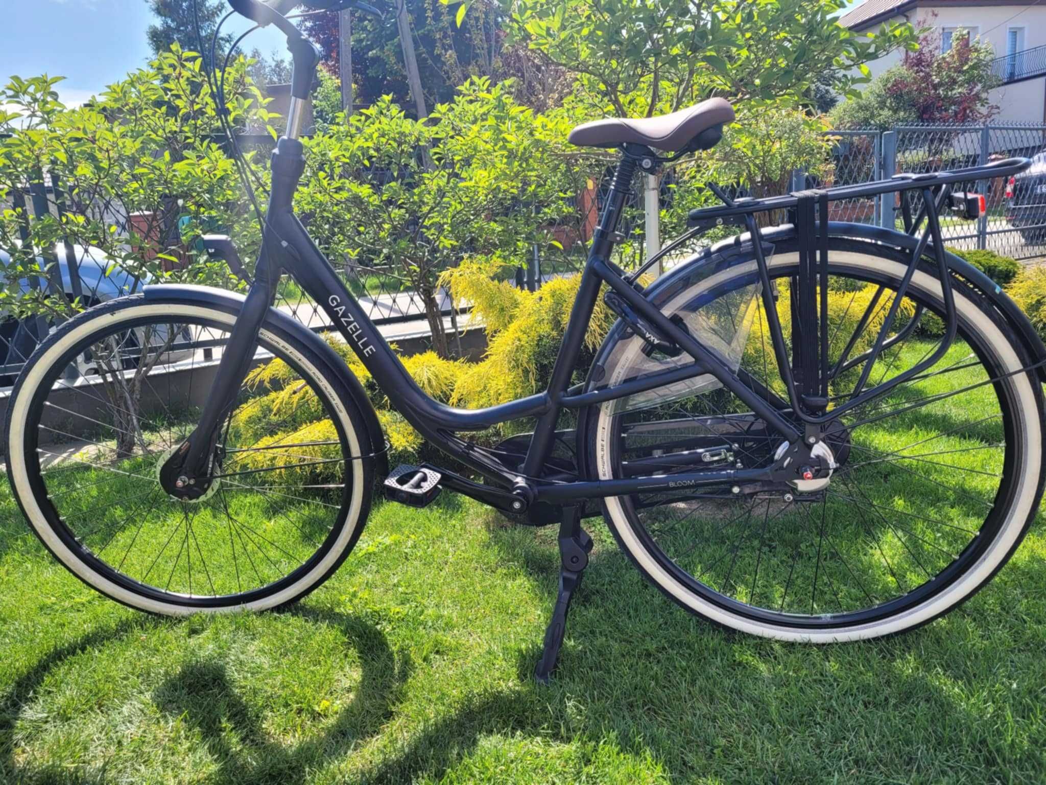 Gazelle Bloom rama 49