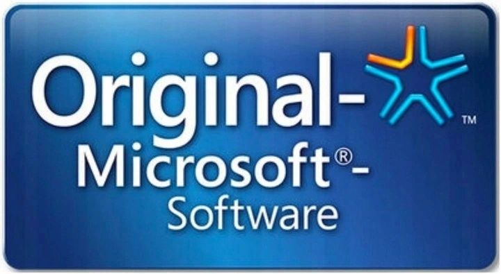 Office Pro Plus Ltsc 2021r. PL PC/MacOS Aktywacja On-line Dożywotnio