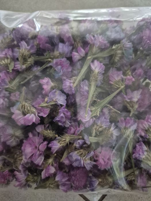 Susz kwiatowy zatrwian gipsówka suszone kwiaty