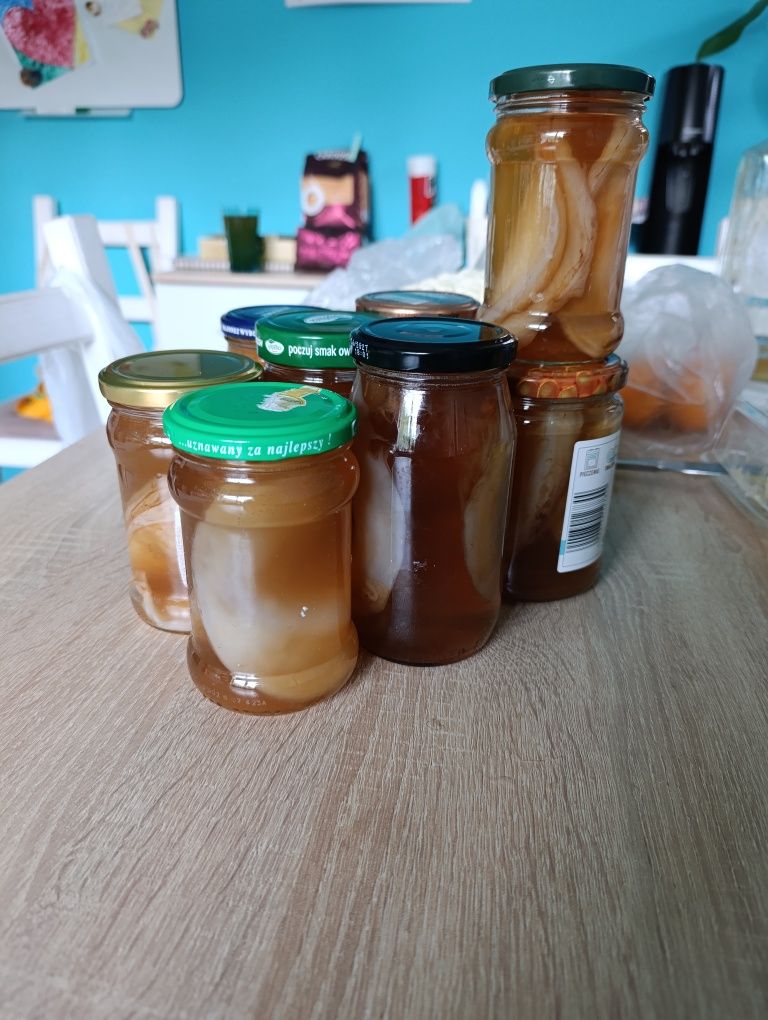 Starter kombucha scoby