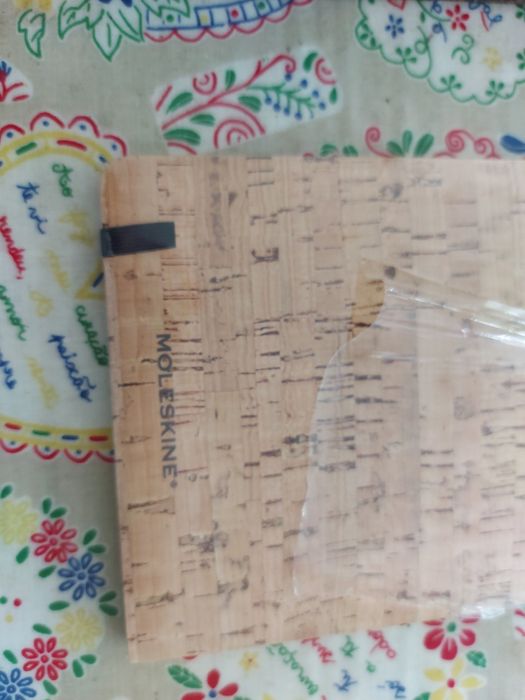 15 agendas não pautadas novas 13 agendas marca Molesklne novas