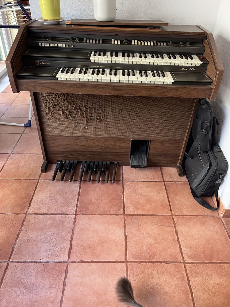 Vendo Órgão electronico Jen