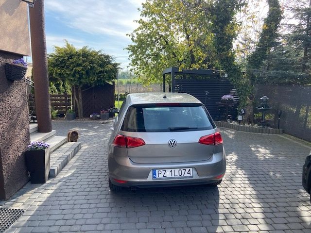 Volkswagen Golf 7   2015.r