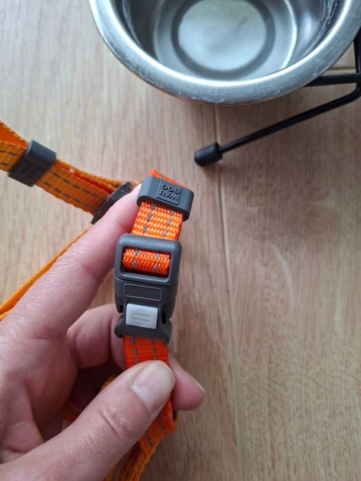 Dla malego psa 3-5 kg