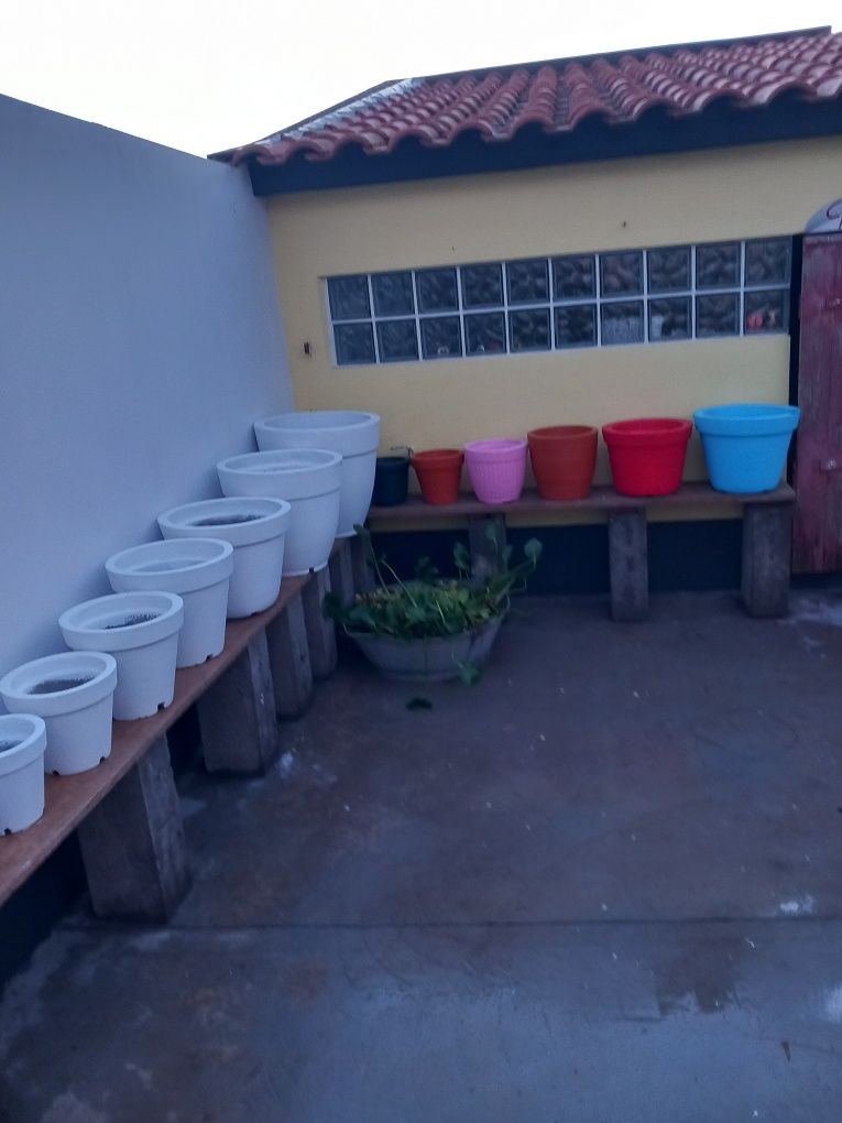 Vasos de Cimento