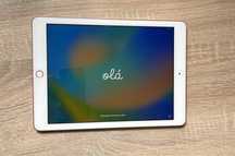 iPad 6 generacji 32 GB + obudowa