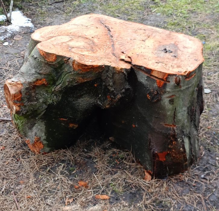 Чудовий стіл дизайнерський.  Дерево бук.