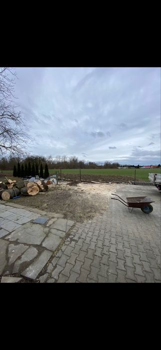 Uslugi ogrocznie wycinka drzew przycinanie Tui rozbiorki