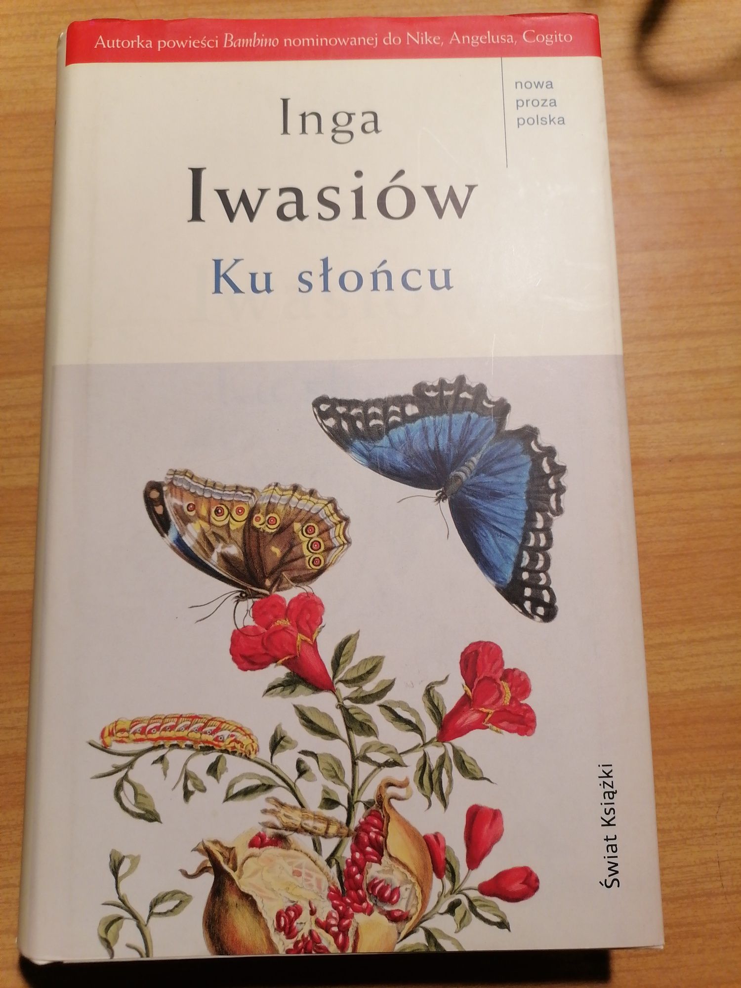 Inga Iwasiów Ku słońcu