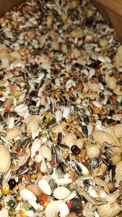 Karma dla Papug średnich + Papug Dużych 20 kg kampol