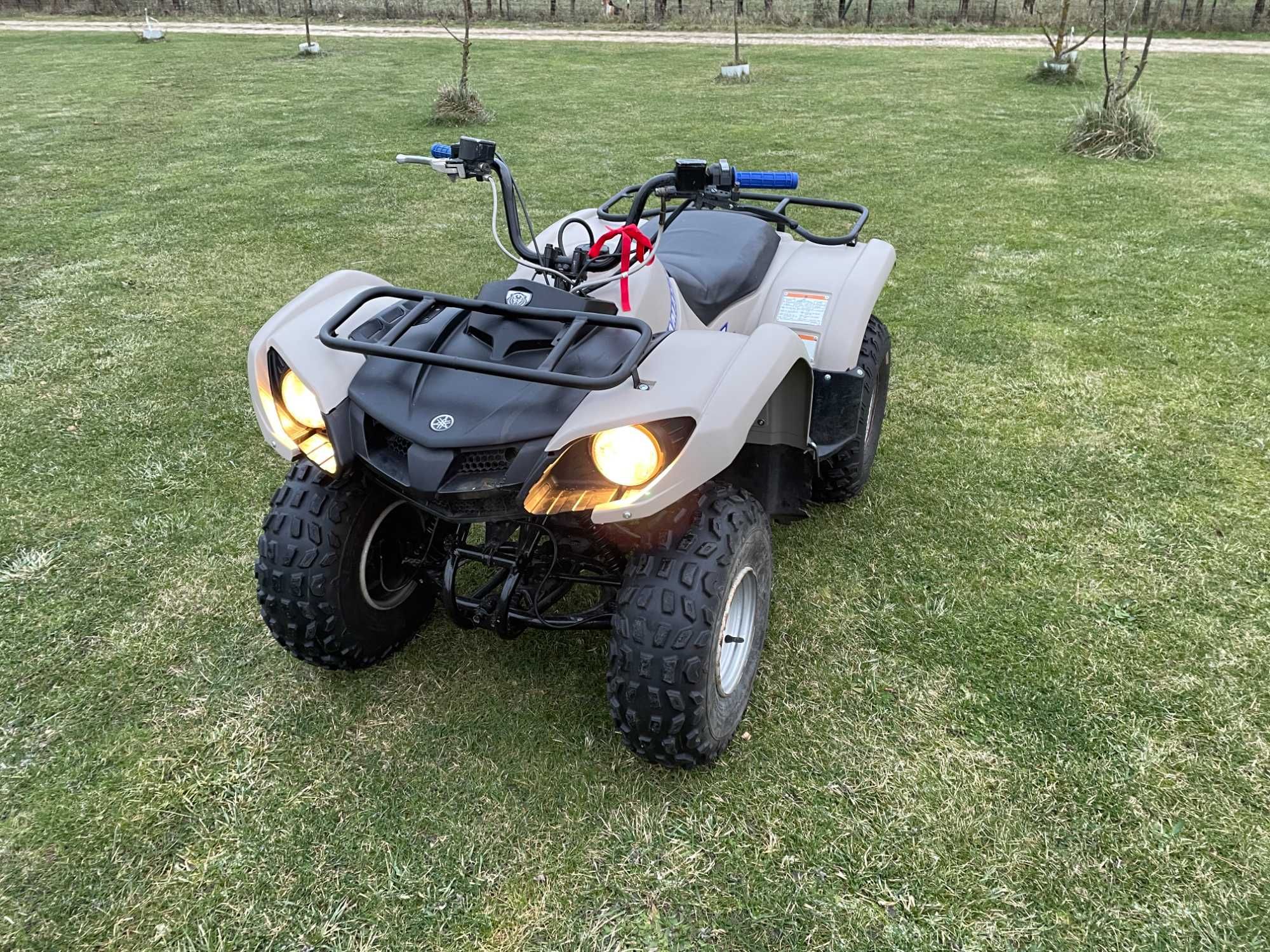 quad Yamaha grizzly