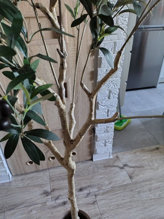 Sprzedam sztuczne drzewko oliwne