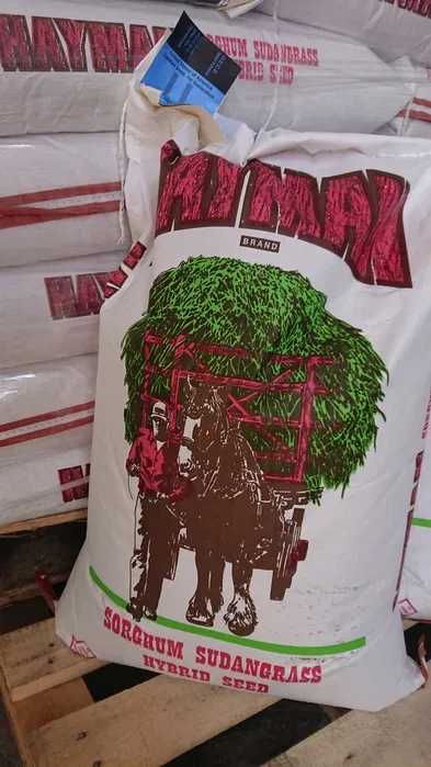 Nutri Honey mieszaniec sorga z trawą sudańską