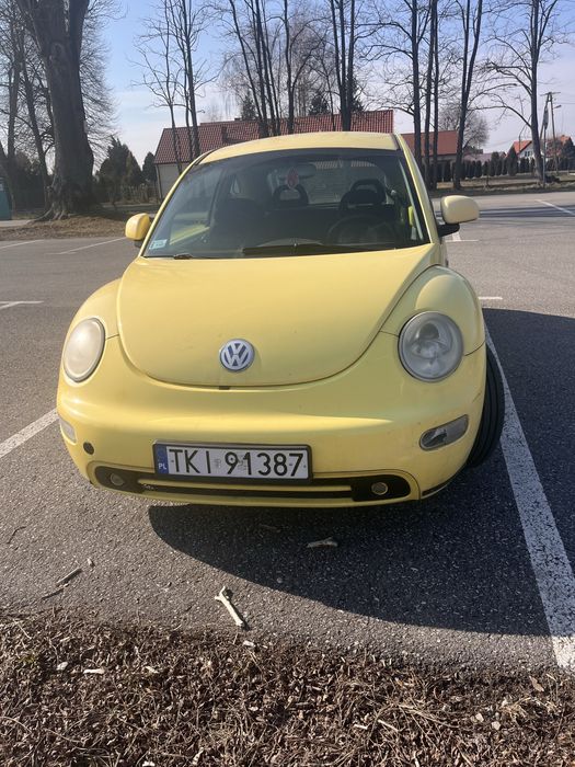 New beetle garbus 99r