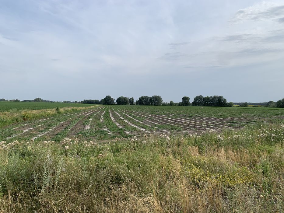 Верхоли земельна ділянка на трасі фасад
