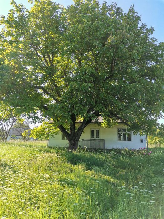 Продається будинок і земельна ділянка
