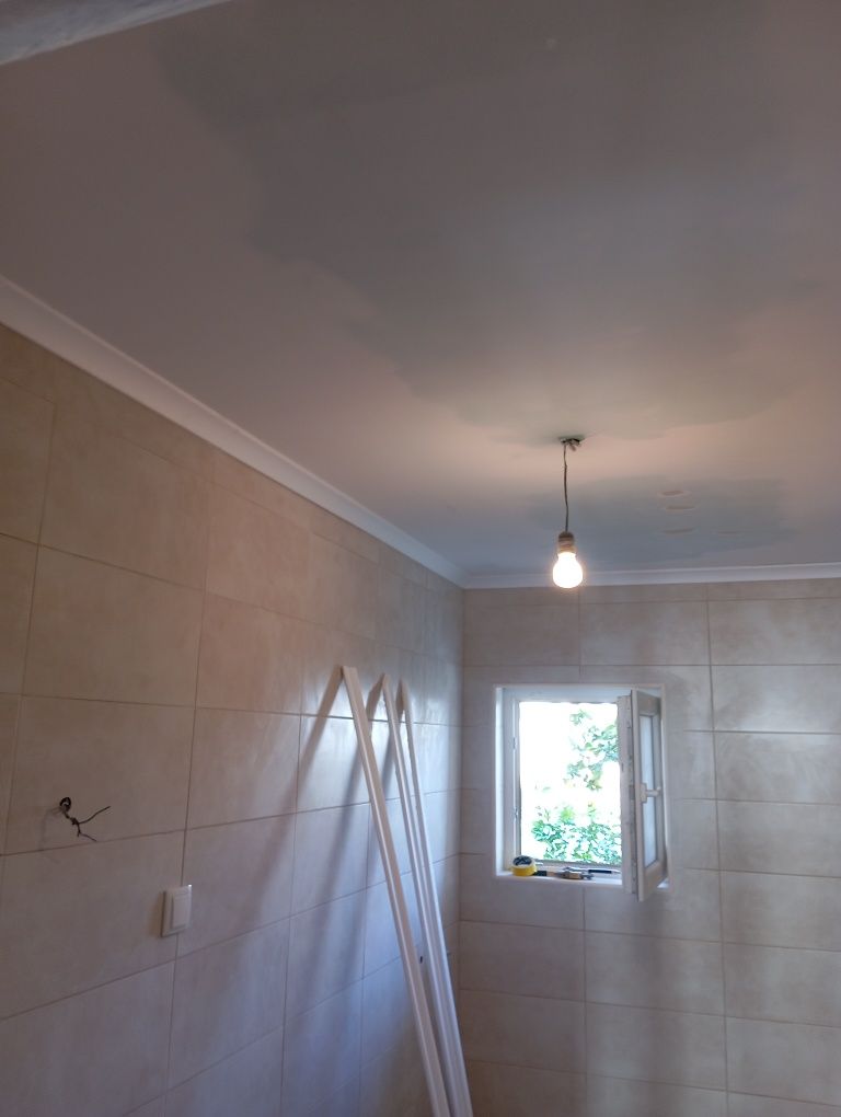 Remodelação e pintura