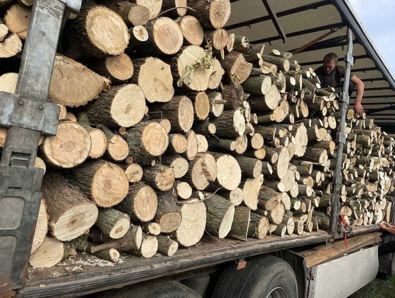 В ПРОДАЖЕ ДРОВА! Берест, Акация, Ясень, Клен, Дуб. Сухие, Колотые!