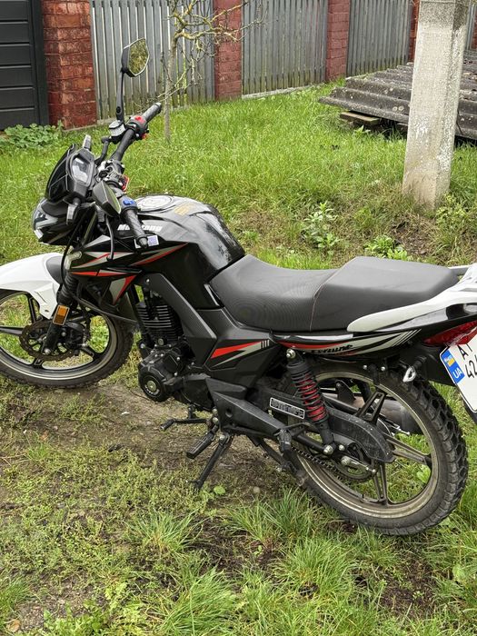 Musstang fortuna 200