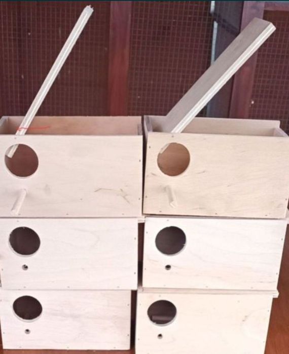 Budki lęgowe dla ryżowców 6 szt.