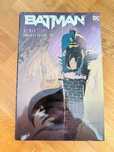 Batman No Man's Land Omnibus vol 2