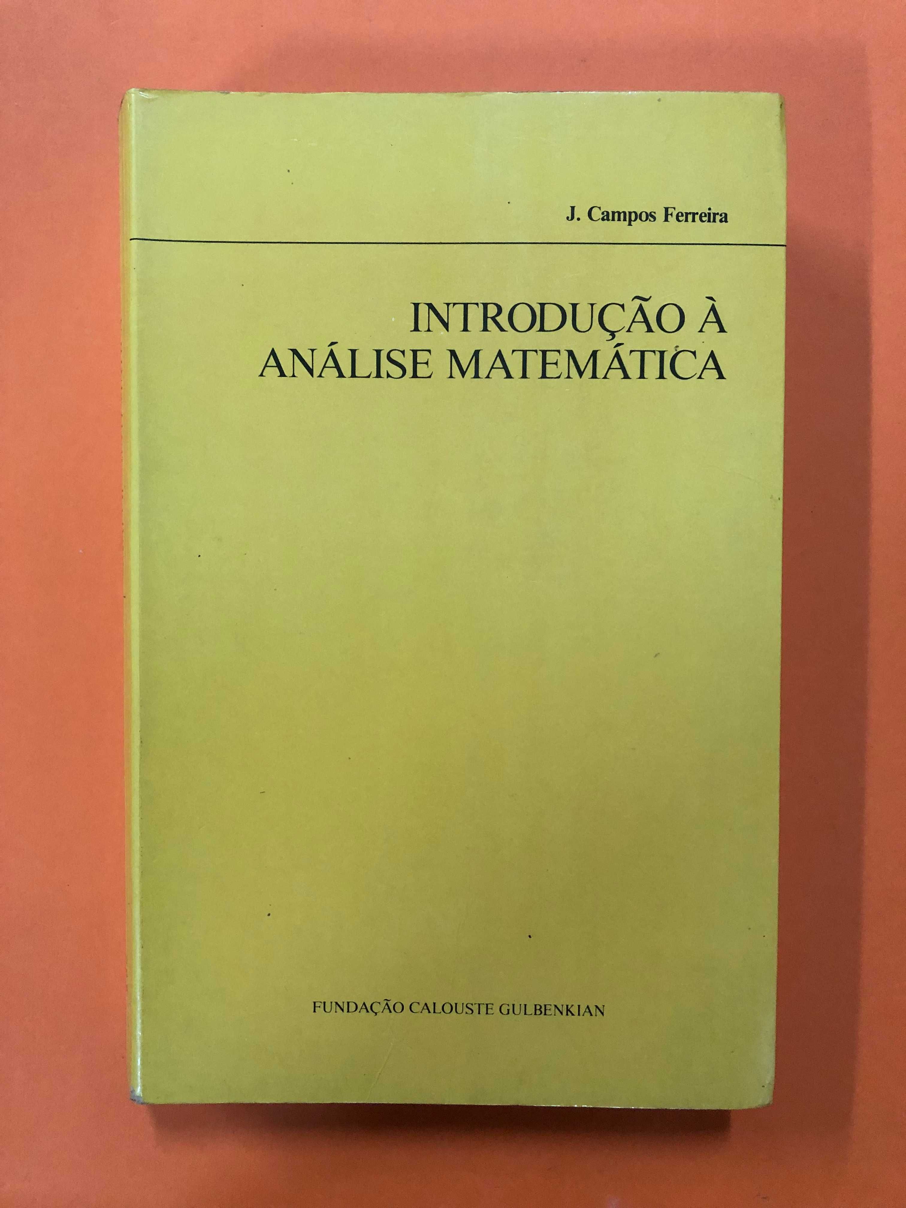 Introdução à análise matemática - J. Campos Ferreira