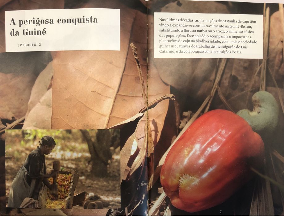 DVD As novas viagens philosophicas-Arte e Ciência