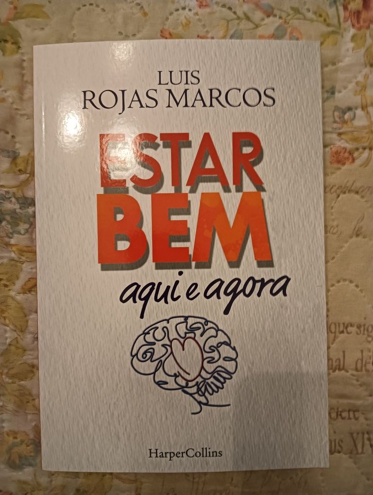 Livro Novo Estar Bem Aqui e agora