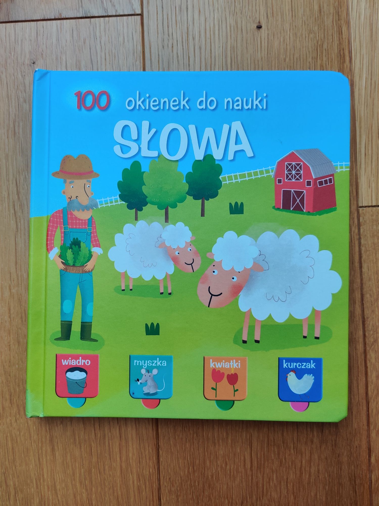 Książka 100 okienek do nauki Słowa