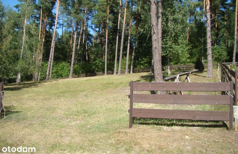 Atrakcyjna działka 1239 m² w spokojnej okolicy