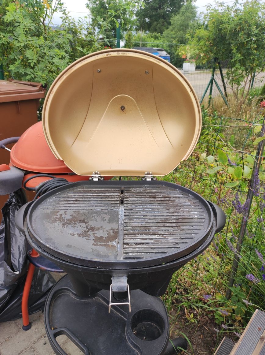 Grill elektryczny i węglowy