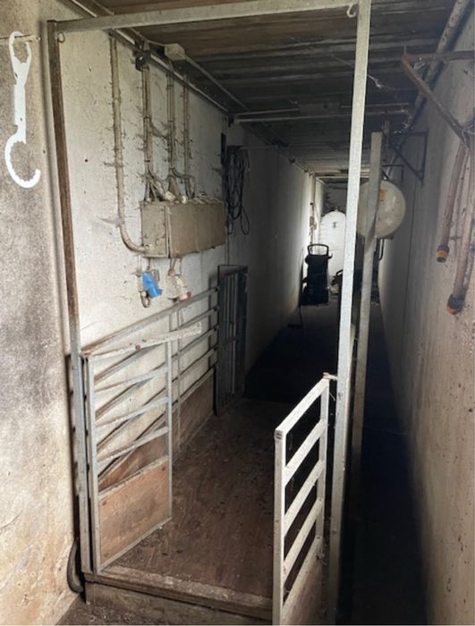 Waga inwentarska 1000kg - korytarzowa, przependowa