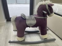 Konik na biegunach firmy Milly Mally