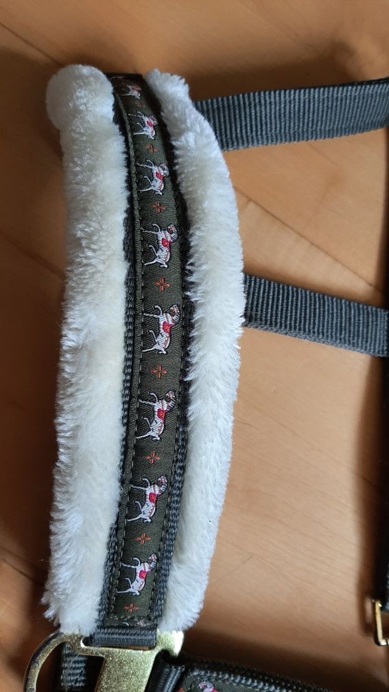 Kantar HKM Allure pony