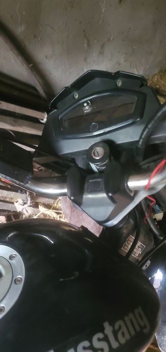 Продам мустанг фіт 2