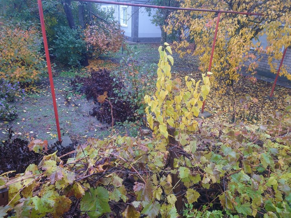 Продам дом в с.Аполлоновка Днепропетровской обл.