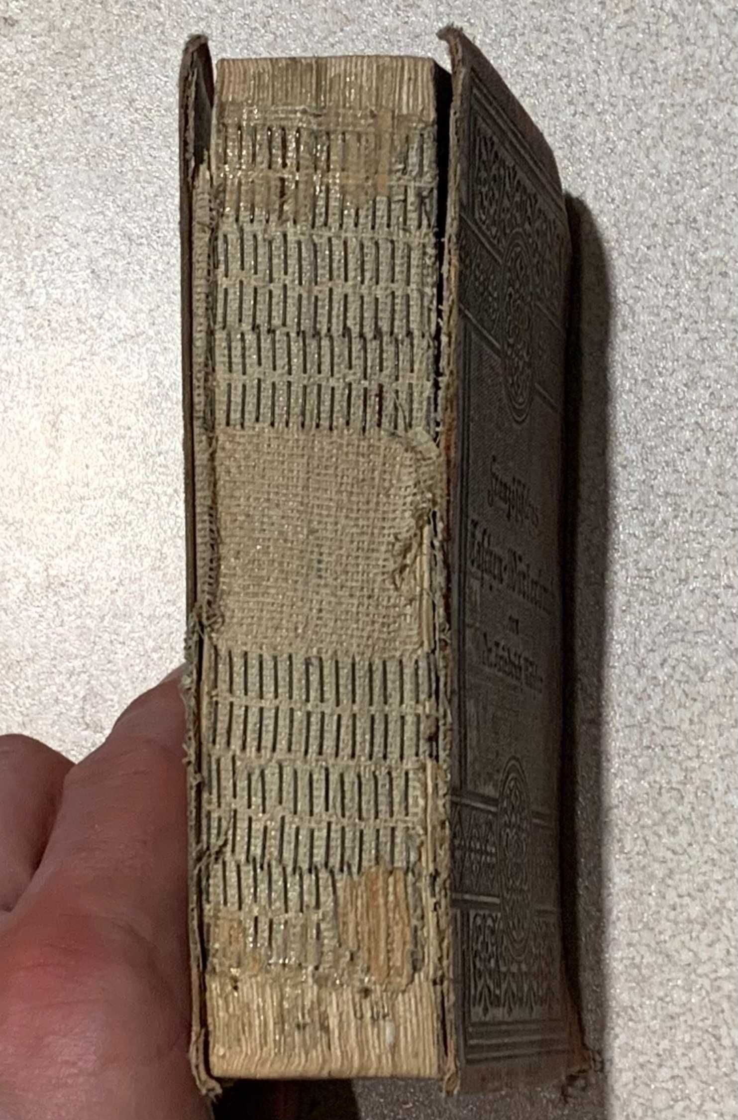 Französisch-Deutsches und Deutsch-Franz. Taschen-Wörterbuch | 1900