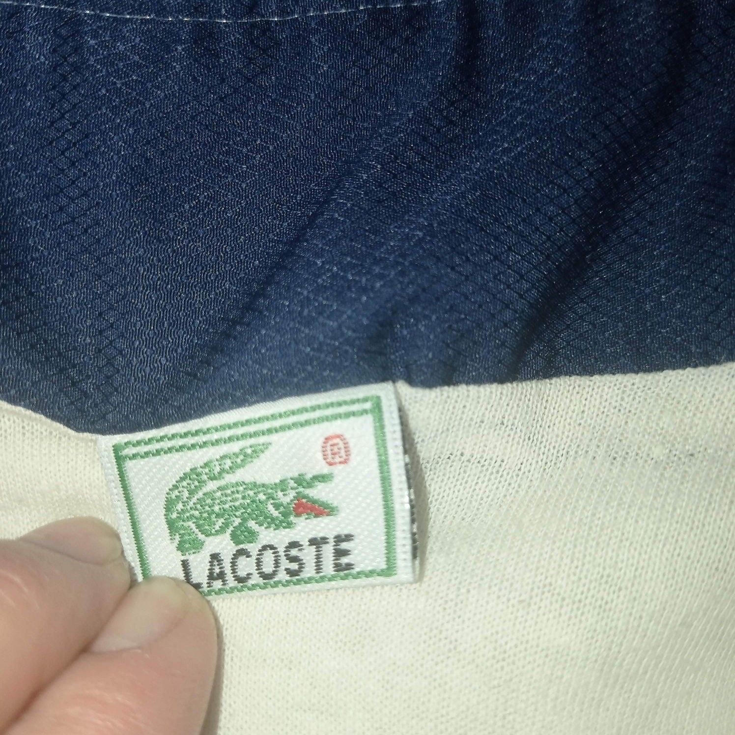 Lacoste sweter, kurtka, bluza dla chłopca