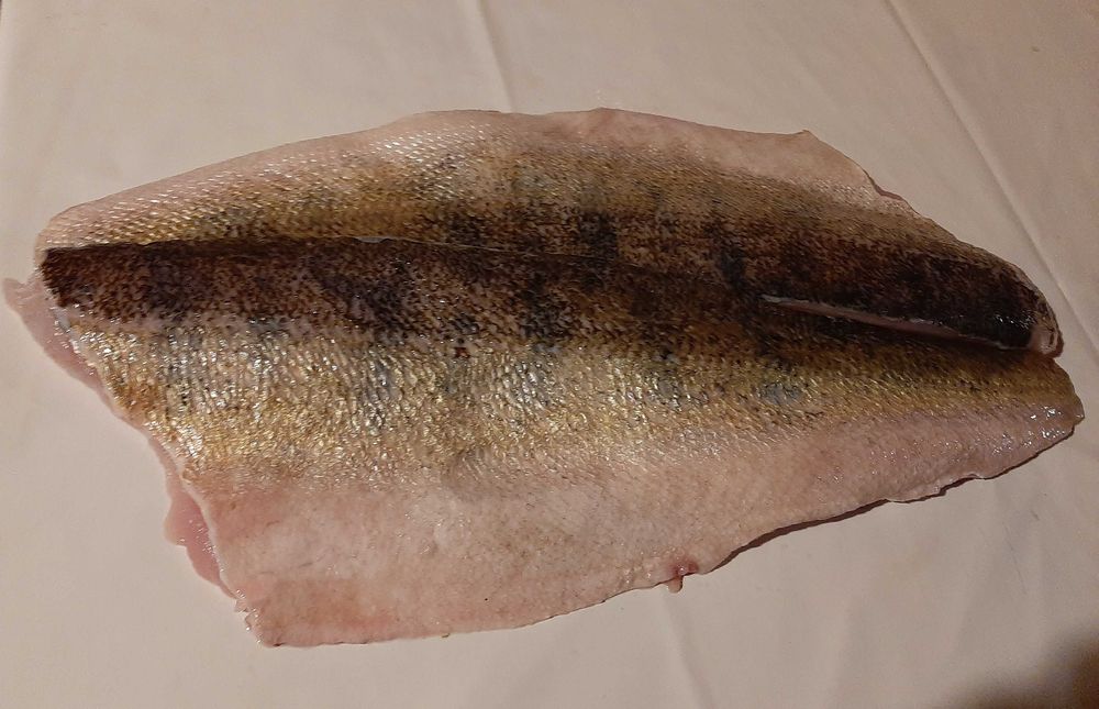 Sandacz konsumpcyjny, świeży, patroszony, filet