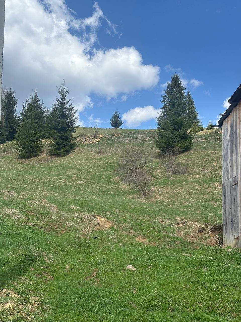 Продаж земельної ділянки в Карпатах_N
