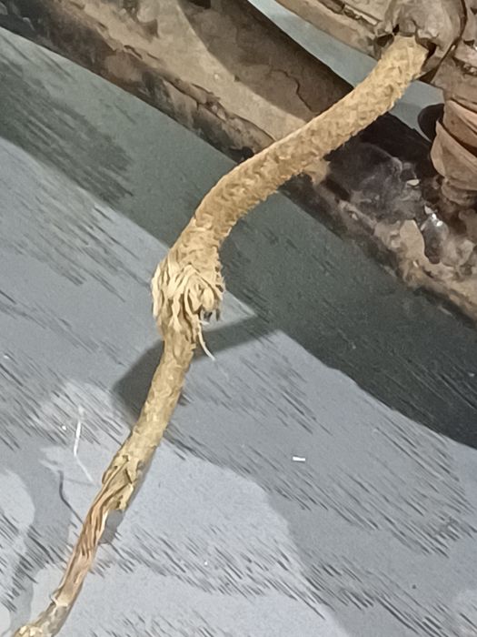 Vintage pierwsze modele Pabieda - Warszawa oryginał - OKAZJA