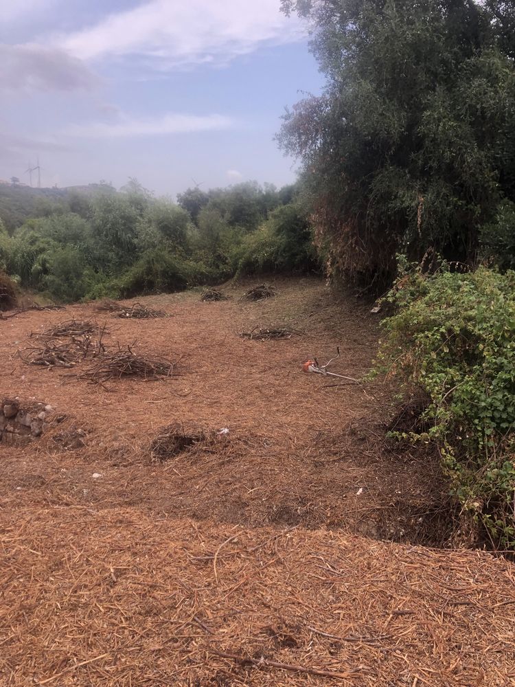 Limpeza terreno e corte arvores