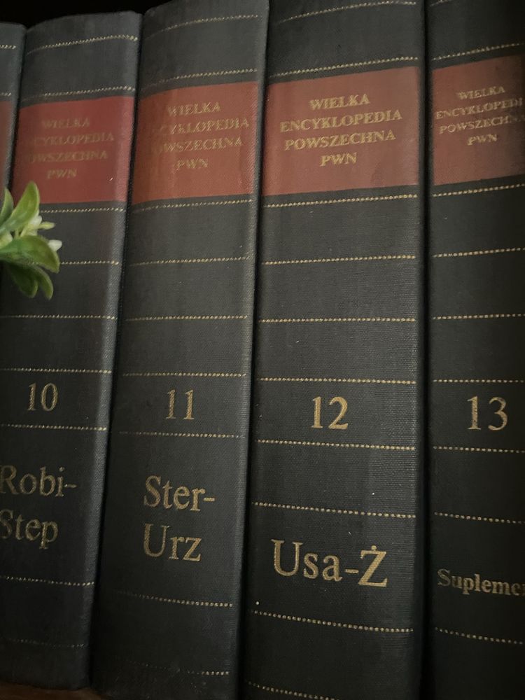 Wielka encyklopedia powszechna pwn