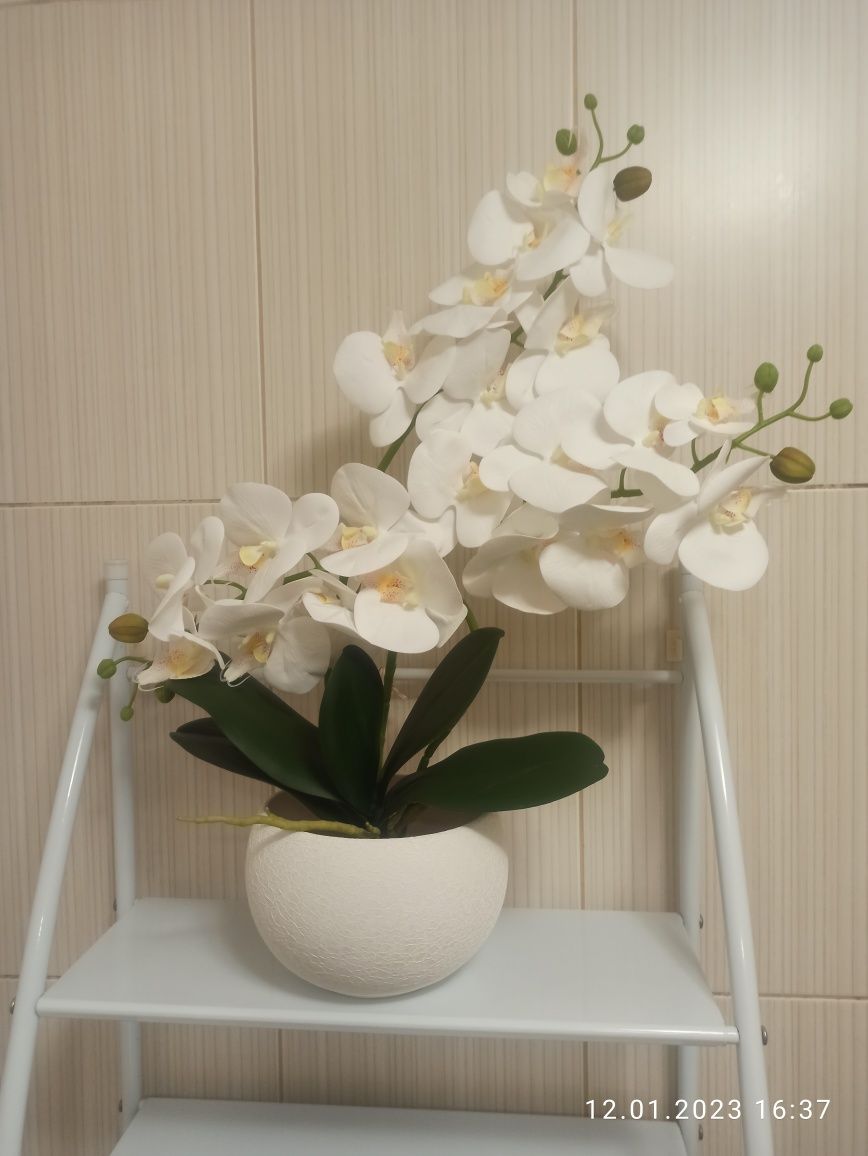 Штучні орхідеї із латексу