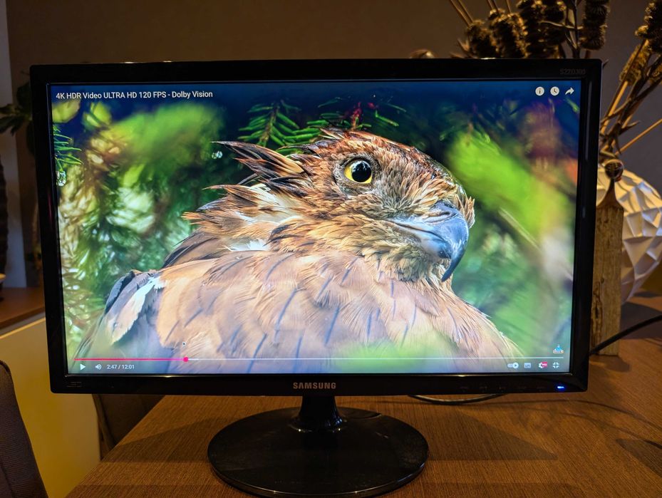 Monitor Samsung S22D300HY LED Full HD 21.5" Black