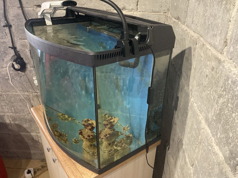 Akwarium morskie reefmax 105l szafka kompletne + dodatki