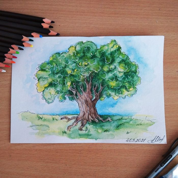 Акварельные скетчи и открытки