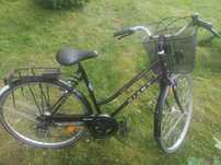 Rower Giant avant