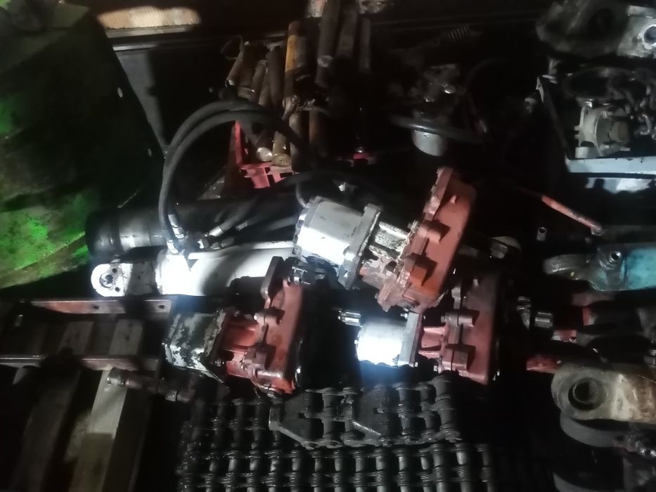 Cyklop ramiona  posiada wiele szt